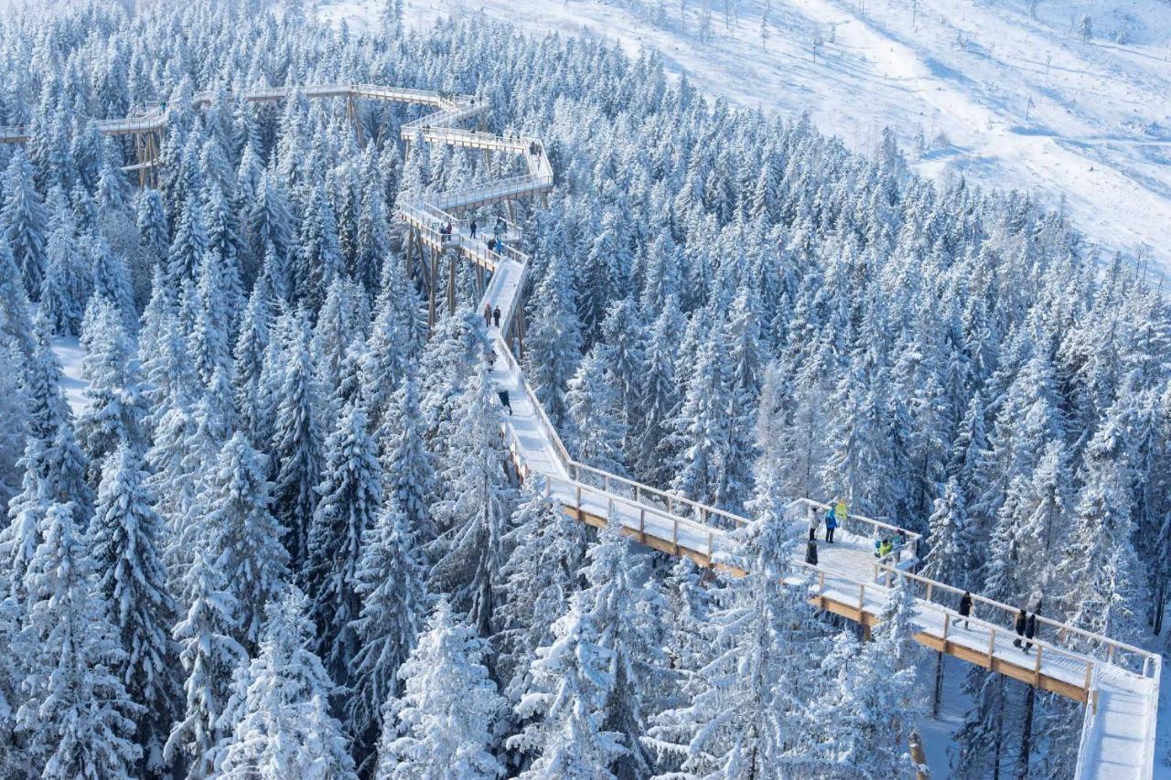 Cozy Mountain Attic Apartment In High Tatras ヴェルカー・ロムニツァ エクステリア 写真